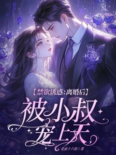 禁欲诱惑：离婚后被小叔宠上天全本小说（禁欲诱惑：离婚后被小叔宠上天）全文阅读