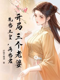 开局三个老婆，先当土皇，再当君小说(完结版)-孙坚周婉儿在线阅读