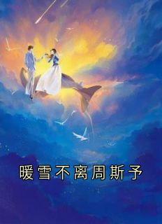 抖音热推小说暖雪不离周斯予全文在线阅读-随缘阅读网