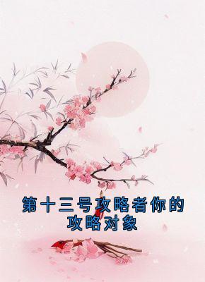 第十三号攻略者你的攻略对象小说(完结)-慕容晔孟子妤章节阅读