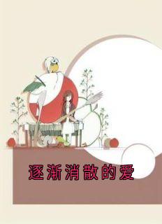 （全本）逐渐消散的爱主角薛程颐林清影陶安然全文目录畅读
