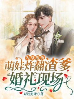 热门小说为母报仇，萌娃炸翻渣爹婚礼现场！完整版全文阅读