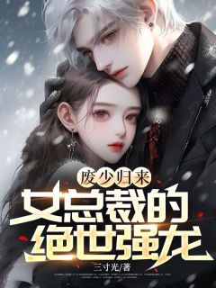废少归来，女总裁的绝世强龙苏平安罗美琴全章节完结版在线阅读