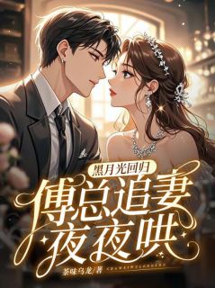 书荒推荐黑月光回归，傅总追妻夜夜哄(秦桉傅曜庭)在线试读