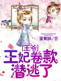 王爷，王妃卷款潜逃了小说全集(白羽萧澈)无弹窗广告阅读