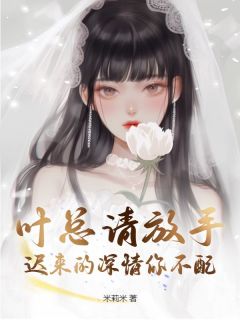 叶总请放手，迟来的深情你不配全本小说（叶总请放手，迟来的深情你不配）全文阅读