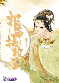 抖音小说报告摄政王：你家皇妃有点皮，主角叶安良韩靖轩最后结局小说全文免费