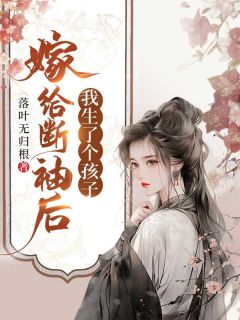 嫁给断袖后，我生了个孩子赵如云张云麟全章节完结版在线阅读