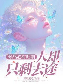 候鸟必有归期，人却只剩去途柳如烟柳傲天沈幼楚小说全章节最新阅读-随缘阅读网