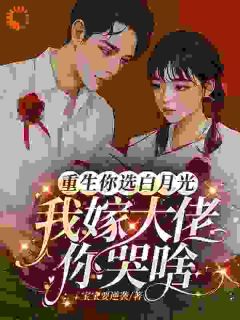 [抖音]小说周超英沈清辞赵青云重生你选白月光，我嫁大佬你哭啥