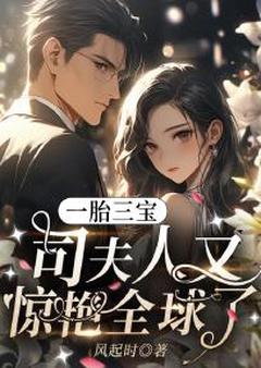 一胎三宝:司夫人又惊艳全球了小说百度云完整章节列表免费阅读