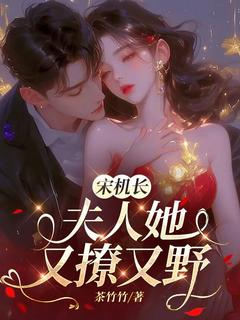 沈心念宋勋野小说宋机长，夫人她又撩又野全文阅读