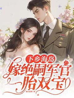 独家下乡海岛，嫁绝嗣军官一胎双宝小说-主角沈竹一霍锦之全文免费阅读-随缘阅读网