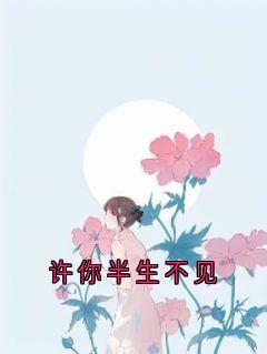 许你半生不见小说全章节目录阅读BY沈易安完结版阅读