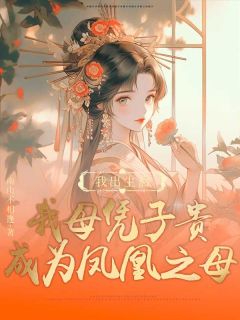 重生后，我母凭子贵成为凤凰之母小说(完结版)-宿泱云祉在线阅读-随缘阅读网