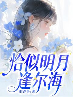 新上恰似明月逢尔海伯泽亨小说免费阅读-随缘阅读网