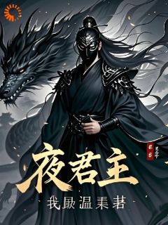 夜君主知乎后续免费试读