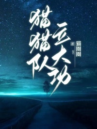 猫猫队立大功(双双三花)小说全章节目录阅读