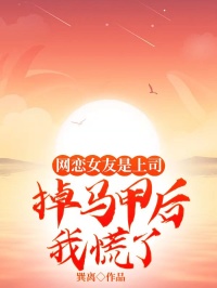 网恋女友是上司，掉马甲后我慌了免费阅读全文，主角江辰陆听雪小说