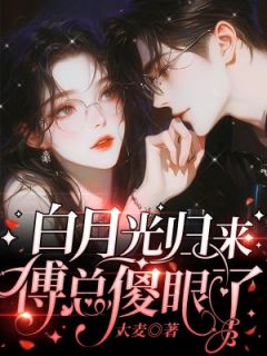 无广告小说白月光归来，傅总傻眼了-叶欢傅晏州在线阅读