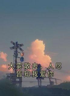 大雾散去，人尽皆知我爱你黎念贺迟宴大结局小说全章节阅读