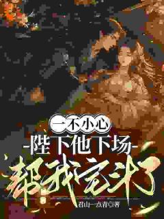 老书虫力荐一不小心，陛下他下场帮我宅斗了免费无弹窗阅读-随缘阅读网