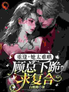 精彩小说重逢，她太难哄，顾总下跪求复合赵舒晚顾砚琛全章节在线阅读