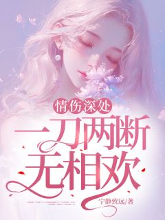 精品小说情伤深处，一刀两断无相欢全文目录畅读