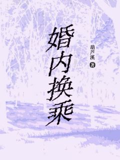 婚内换乘小说全章节目录阅读BY葫芦溪完结版阅读-随缘阅读网