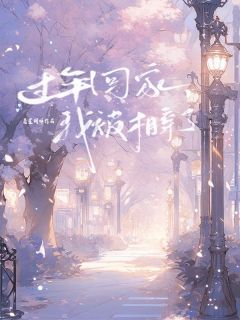 过年回家，我被相亲了小说季思沅傅以深免费阅读