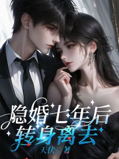 爆款热文赵子慕苏婉灵在线阅读-隐婚七年后，转身离去全章节列表