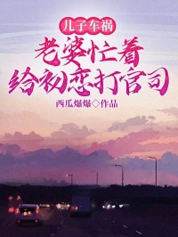 儿子车祸，老婆忙着给初恋打官司by西瓜爆爆小说完结版在线阅读