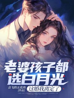 老婆孩子都选白月光，这婚我离定了江子墨叶南星免费全章节目录阅读