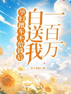 全本资源在线阅读孕妇蹭车不给钱后，白送我一百万苏梅刘凯孟晚舟