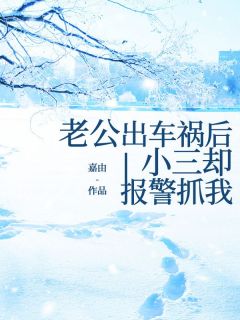 主角是赵宗伟王倩的小说-老公出车祸后小三却报警抓我完整章节阅读