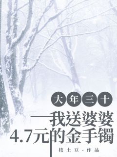 （好书推荐）大年三十，我送婆婆4.7元的金手镯小说最新章节小说全文阅读
