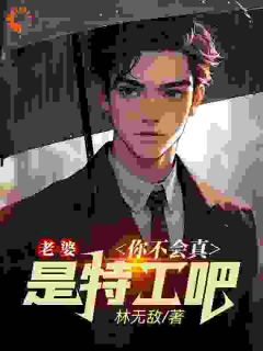 老婆，你不会真是特工吧【全章节】林晨叶寒霜完结版免费阅读