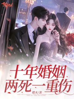 抖音十年婚姻，两死一重伤小说章节阅读