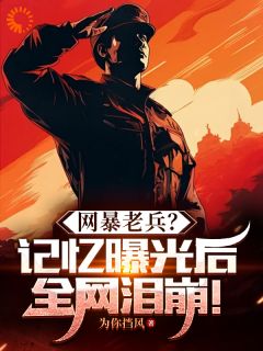 无广告小说网暴老兵？记忆曝光后全网泪崩！-苏报国小暖阳在线阅读