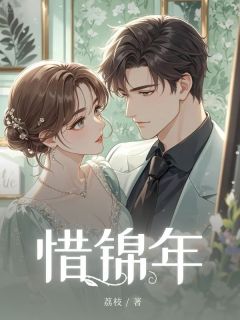 惜锦年小说顾苏眠顾锦年免费阅读