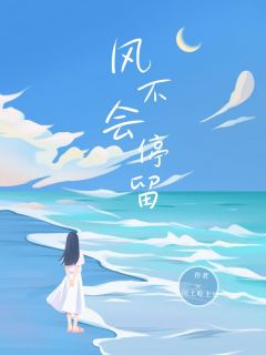风不会停留(苏婉秦峥)全文章节在线阅读