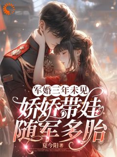 军婚三年未见，娇娇带娃随军多胎【全章节】沈淮初陆云琛完结版免费阅读-随缘阅读网