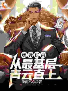 逆袭宦海：从最基层青云直上主角是张文定徐莹小说百度云全文完整版阅读