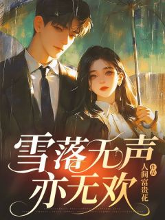 抖音雪落无声亦无欢txt小说阅读-随缘阅读网
