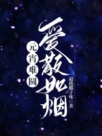最完整版元宵难圆，爱散如烟热门连载小说-随缘阅读网
