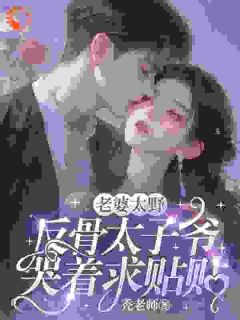 老婆太野,反骨太子爷哭着求贴贴是什么小说沈青瓷席星野全本免费阅读-随缘阅读网
