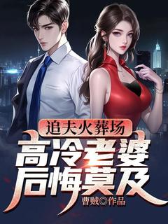 精彩小说萧未央唐婉追夫火葬场，高冷老婆后悔莫及全文目录畅读