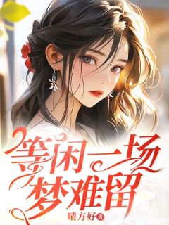 等闲一场梦难留小说免费阅读 陆绵绵顾言辞大结局完整版