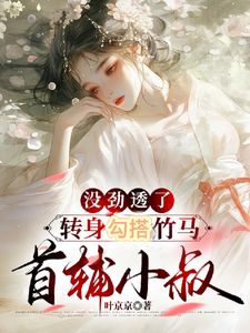 (抖音小说)宋窈窈沈庭川小说全文阅读免费-随缘阅读网