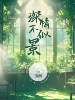深情不似景小说舒涵司景林翩然最新章节阅读